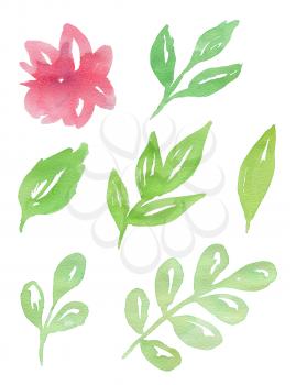 Set of hand drawn pink watercolor flowers and green leaves 
