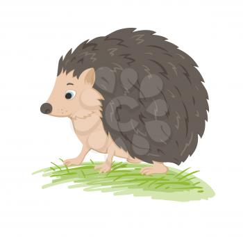 Cute vector  forest hedgehog in a green grass on a white background