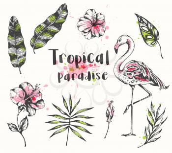 Set of vector hand drawn summer tropical design elements. Pink flamingo, palm and banana leaves.