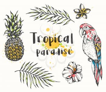 Set of vector hand drawn summer tropical design elements. Parrot, pineapple, tropical flowers and palm leaves on a white background