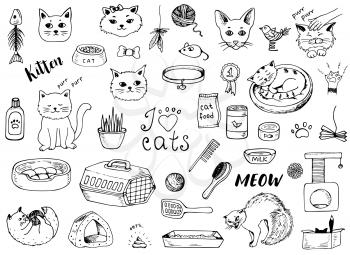 Set of hand drawn vector doodle domestic cats and pet accessories on a white background.