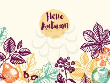 Autumn background with falling leaves, fruits and berries. Vintage vector hand drawn autumn floral banner for seasonal sale.