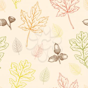 Autumn seamless pattern with oak and maple leaves and acorns. Hand drawn vector fall background.