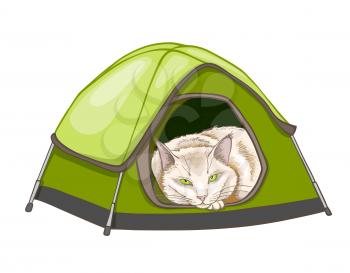 White domestic sleeping cat in the green tent. Hand drawn vector illustration