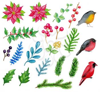Set of hand drawn watercolor Christmas design elements on a white background. Birds and plants.