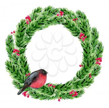 Hand drawn watercolor Christmas wreath. Green fir branches and bullfinch on a white background.