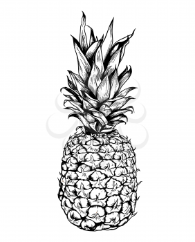 Hand drawn black vector pineapple on a white background.