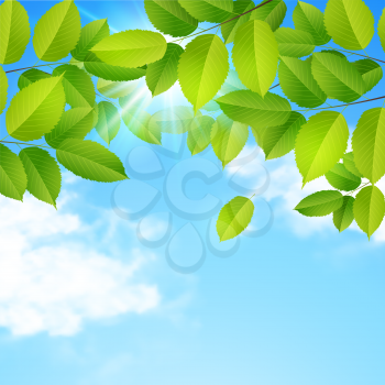 Spring nature background with green leaves, clouds and blue sky. Vector illustration.