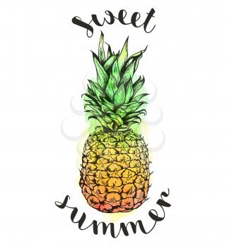 Hand drawn tropical vector pineapple and watercolor texture on a white background. Sweet summer lettering