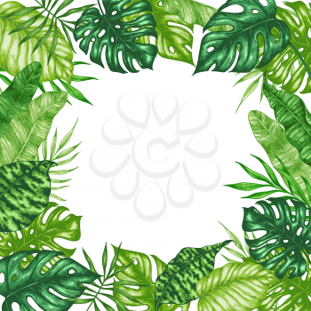 Tropical summer frame with green palm leaves on a white background. Hand drawn vector illustration