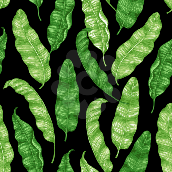 Tropical seamless pattern with green banana leaves on a black background. Hand drawn vintage vector illustration.