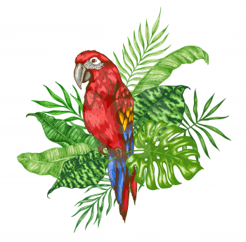 Green palm leaves and red parrot on a white background. Hand drawn tropical vector illustration