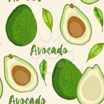 Hand drawn tropical seamless pattern with avocado fruit and green leaves. Vector background