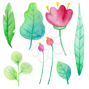 Set of watercolor flowers and leaves on a white background. Hand drawn botanical design elements. Vector illustration