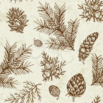 Vintage winter seamless pattern with evergreen plants. Decorative background for Christmas and new year. Hand drawn vector pattern.