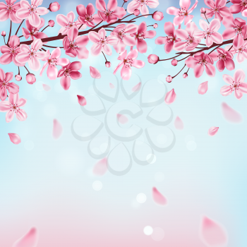 Spring background with pink flowering cherry branch and blue sky. Sakura blossom. Vector illustration.