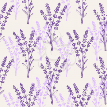Vintage seamless pattern with lavender flowers. Spa and aromatherapy ingredients. Hand drawn vector background