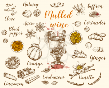 Vintage vector hand drawn mulled wine and spices. Traditional Christmas food and drink.