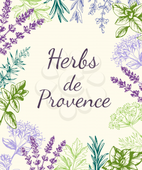 Vintage vector hand drawn background with Provencal spices and herbs.
