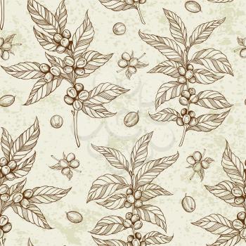 Vintage hand drawn seamless pattern with coffee plant and coffee beans. Vector illustration