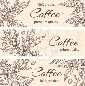 Decorative horizontal backgrounds with hand drawn coffee plants and coffee beans. Vector illustration