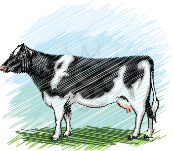 Holstein cow illustration