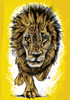 Sketch of a big male African lion. Vector illustration