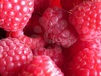 beautiful ripe raspberries fruit background
