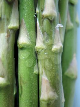 Fresh, green asparagus close-up