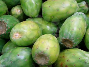 Prickly pear, delicious tropical fruit