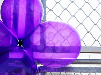 Birthday party balloons total purple on metal grate