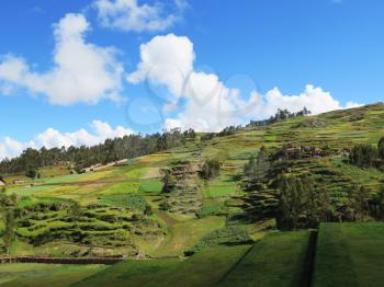 Agricultural field in Sacred Valley, Cusco Region, Peru