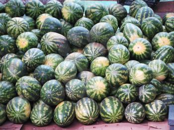 Watermelons heap at the market