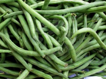 Fresh green bean species