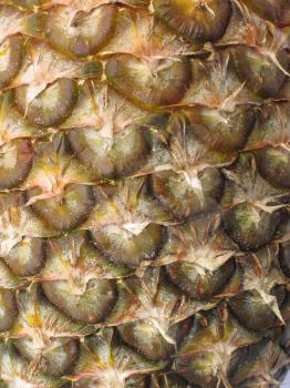 Ripe pineapple closeup