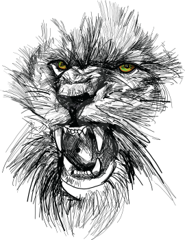Sketch of lion head vector illustration