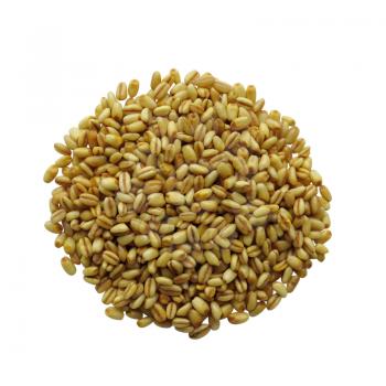 Heap of raw wheat Isolated on White Background