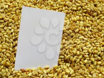 White tag on Heap of raw wheat background
