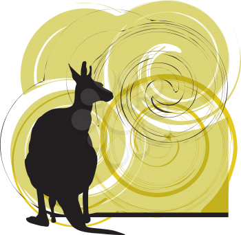 kangaroo vector illustration