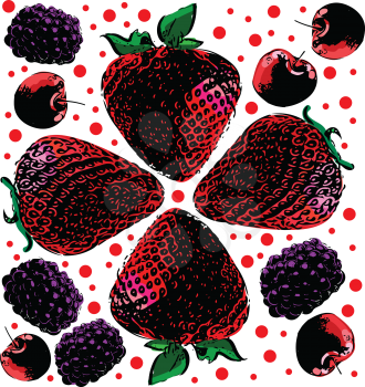 berries seamless hand drawn pattern Vector illustration