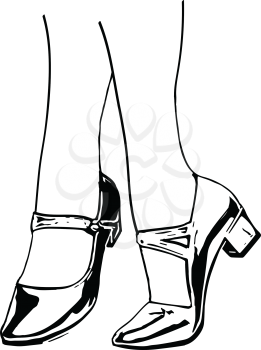 close-up of woman legs Illustration of women's shoes. Vector Illustration