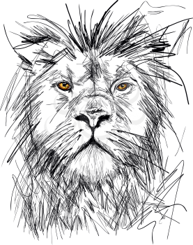 Sketch of Big adult lion portrait with rich mane Vector Illustration