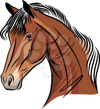 Horse Hand Drawn Sketch - Vector Illustration