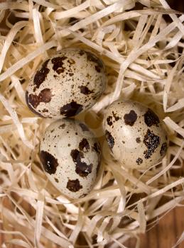 Three quail eggs in a nest of artificial straw on old wooden background