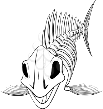 Detailed silhouette skeleton fish head to the viewer isolated on white background