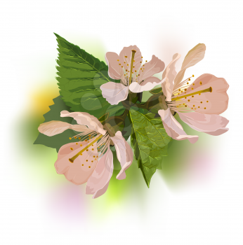Branch of a blossoming apricot with leaves in a retro style