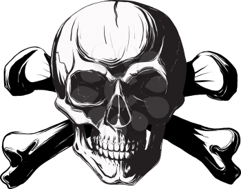 human skull and bones. Pirate symbol isolated on a white background