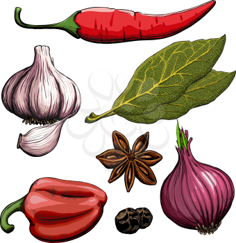 Spice. Onion, garlic, pepper, bay leaf, hot pepper drawing woodcut method