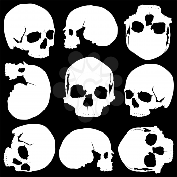 seamless background of several skulls in different positions of white on black