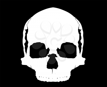 simple human skull without mandible in full-face white on a black background
